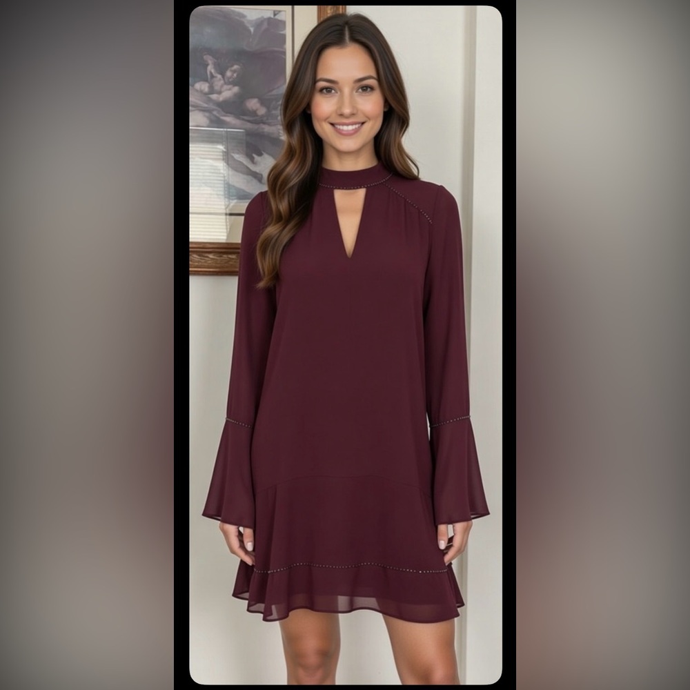Parker Elegant Plum mini Sleeve Dress